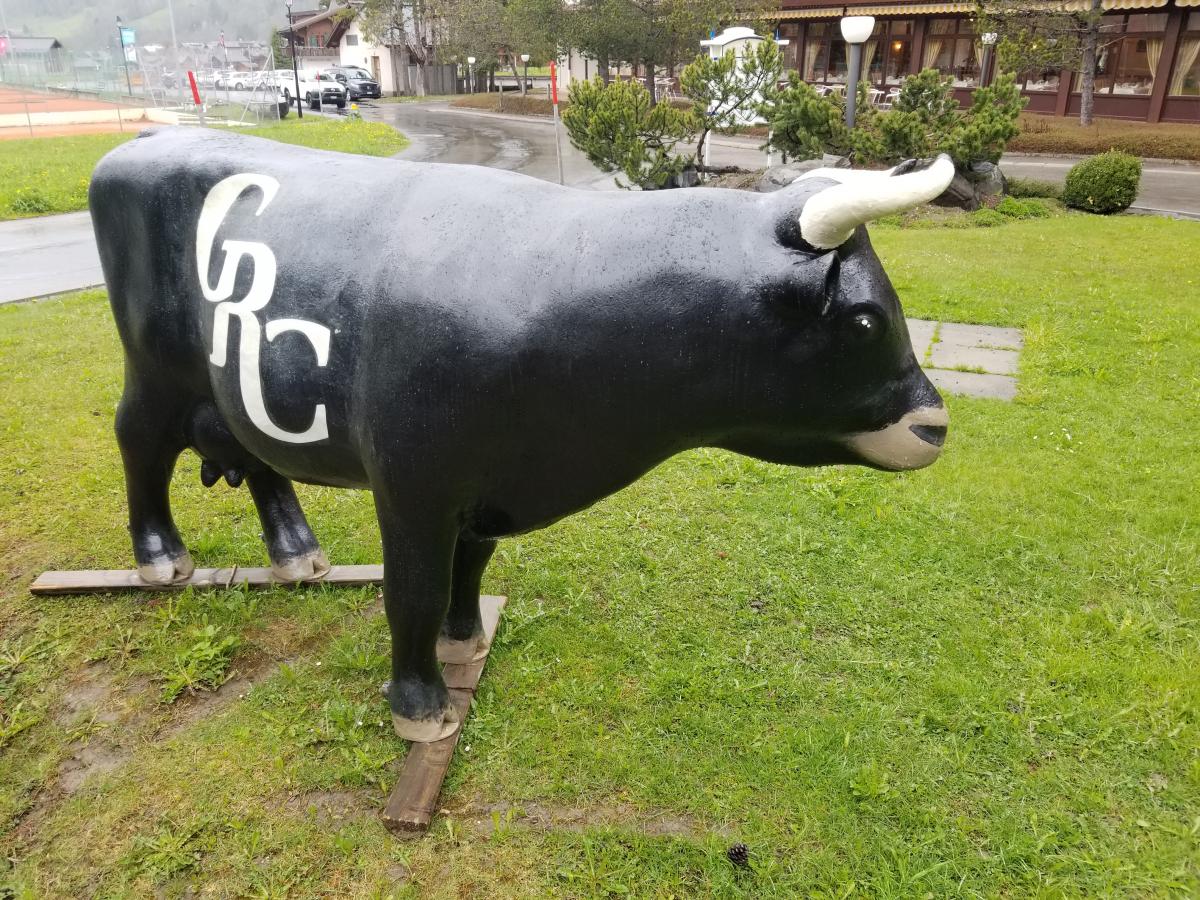 Attended Events-2019 GRC Conference, Les Diablerets, Switzerland