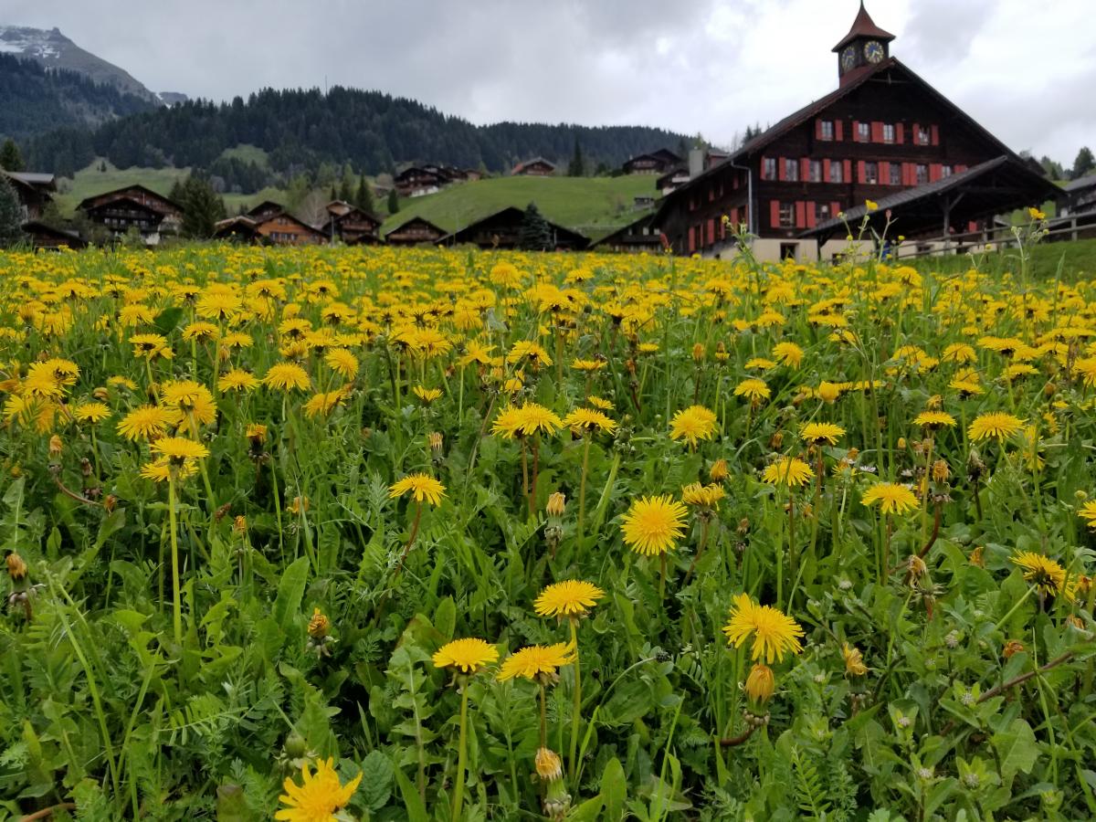 Attended Events-2019 GRC Conference, Les Diablerets, Switzerland