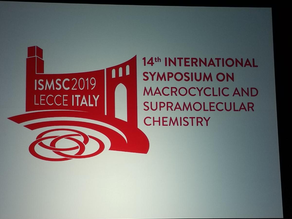 Attended Events - 2019 ISMSC Conference, Lecce, Italy